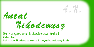 antal nikodemusz business card